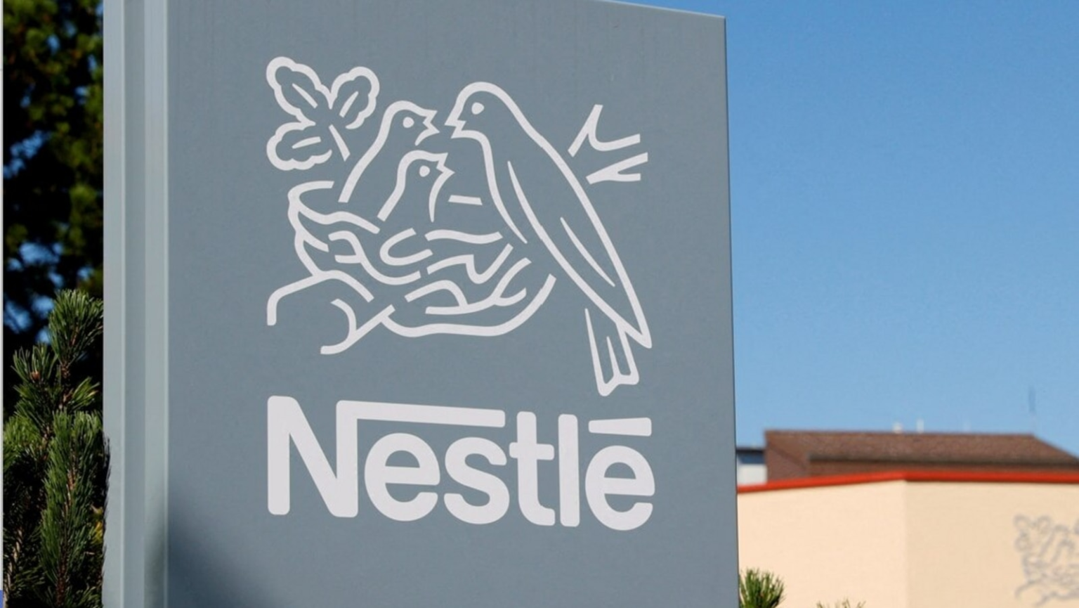 Stock split 2024 Nestle India share price in focus as stock trades ex